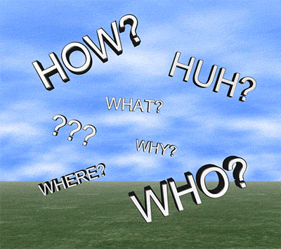 Example questions
