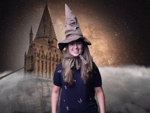 Meme: Harry Potter, sorting hat, Gryffindor