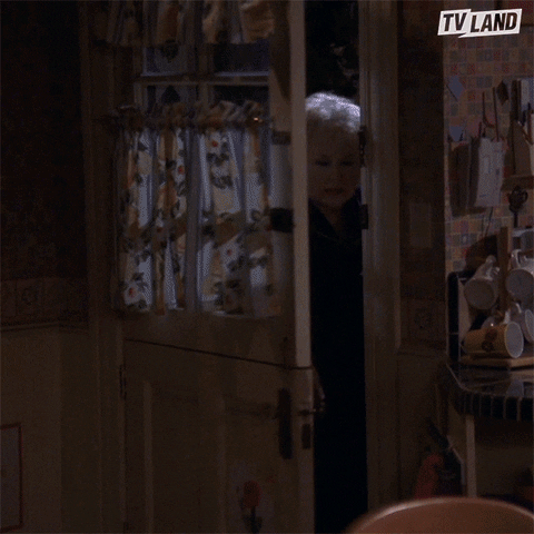 Meme: Everybody Loves Raymond, Turning the lights on, is anyone home