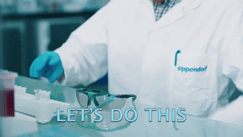 Lab experiment animation