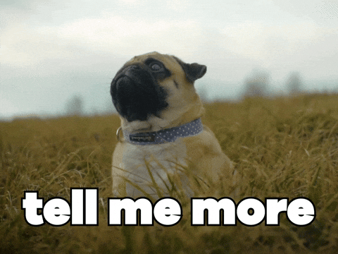 Meme: Pug saying 'Tell me more'