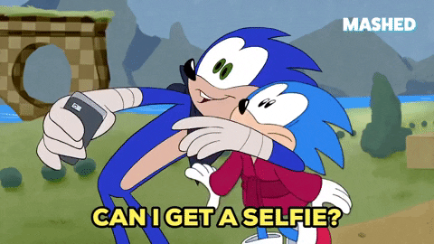 Meme: Sonic the Hedgehog, taking a selfie