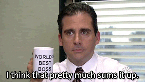 Meme: The Office, The Pretty Much Sums it Up